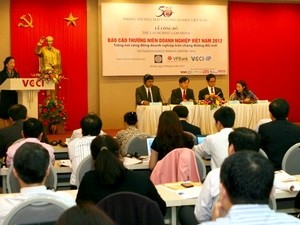 Công bố báo cáo thường niên doanh nghiệp Việt Nam 2012 - ảnh 1